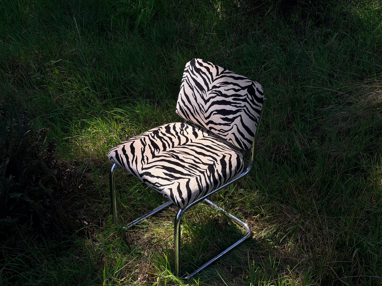 Zebra Dining Chairs